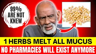 Mucus Causes All Disease Dr Sebi Explains the Herbs That Clean Your System