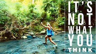 ISLAND LIVING: GRENADA HASH 🌴