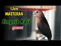Download Lagu 1 jam Suara burung emprit kaji gacor, White-headed Munia | Finch Singing \u0026 Training Birdsong 317