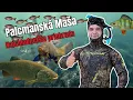 Download Lagu Palcmanská Maša - POD VODOU 2025 - Zatopené skaly - Čo ukrýva najchladnejšia nádrž na Slovensku ?