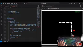 ASMR Programming - coding snake game