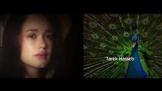 النرجسية Narcissistic Abuse أغنية حبيت طاوووس Mk 