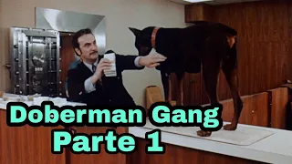 La Banda De Los Doberman 1 فيلم عصابة تسرق البنوك بالكلاب  La Banda De Los Doberman 1 فيلم عصابة تسرق البنوك بالكلاب