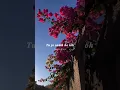 Download Lagu 𝙥𝙧𝙚𝙚𝙩 𝙧𝙚 💗𝙡𝙮𝙧𝙞𝙘𝙨 #the_music_diaries #lyrics #songslyrics