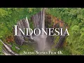 Download Lagu Indonesia In 4K - Tropical Paradise Of Asia | Scenic Relaxation Film