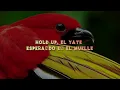 JC Reyes - SI ME QUIERES (Lyrics/Letra)