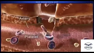 عملية تخثر دم الجروح واضح 