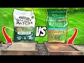Grow Grass Fast Scotts VS Pennington The Patchy Lawn Quick Fix Showdown