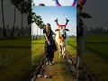 Download Lagu \