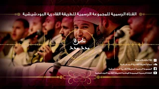 قصيدة الموسم مدد مدد نظرة من ألحان المجموعة الرسمية للطريقة القادرية البودشيشية 