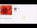 Image Processing And GDI Basics in C Part 2