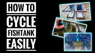 How To Cycle Fish Tank Fast Effectively With English Subtitle