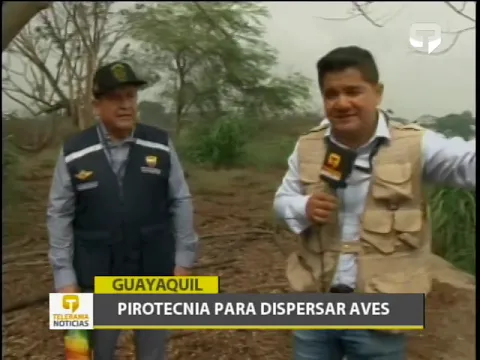 Pirotecnia para dispensar aves