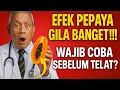 Download Lagu Ini yang Terjadi Jika Makan Pepaya Tiap Hari! Buah Murah Tapi Efeknya GILA!