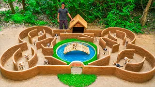 I Built a Giant Clay Puppy Maze! Can They Find the Food? 🐶