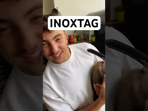 Nouveau collier pour Ace (repost)