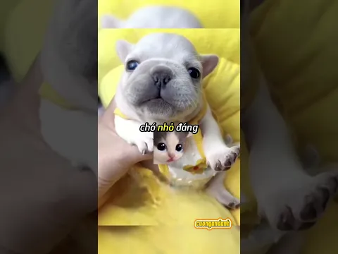 Tòa tháp xô khiến cả sân vận động náo loạn!#shorts