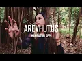 Lagu Arevhutus - Hamparan Sepi