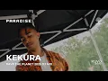 Download Lagu Kekura DJ Mix | Rave the Planet 2025 | Paradise x DJ Monitor x Soul Water Float