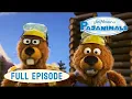 Download Lagu Pajanimals | Team Fort / Dentist Jitters  | Jim Henson Family Hub | Kids Cartoon