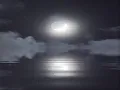 The Gabby Pahinui Hawaiian Band - Moonlight lady
