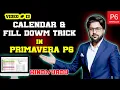 Master the Calendar Assignment Fill Down Trick in Primavera P6 13