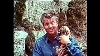 O Mundo Animal 1966 Trecho com dublagem clássica