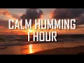 Download Lagu Calm Humming Islamic Nasheed 1 HOUR!