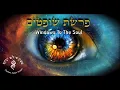 Download Lagu Parashat Shoftim: Windows of The Soul