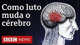 Luto: como cérebro se reconfigura quando perdemos alguém