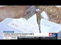 multiple headstones at roselawn funeral home damaged in car accident