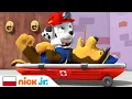 Download Lagu Psi Patrol | Chase zachorował! | Nick Jr.