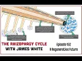 EPISODE 132 The Rhizophagy Cycle with James White A Regenerative Future with Matt Powers