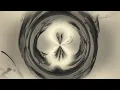 Periphery - Unlocking (Lyric Video)