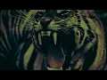 ShockFront - EYE OF THE TIGER (80s Metal Version)