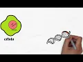 DNA, Chromosomes and Genes