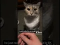 thousand yard stare meme