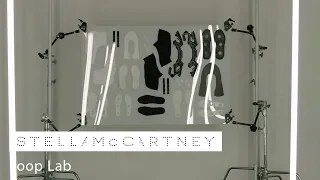 Loop Shoe Master Lab 