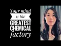 Download Lagu The mind is the greatest chemical factory