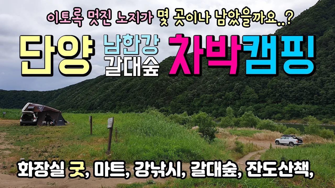 단양 가곡 남한강 갈대밭 캠핑인들의 로망이 이런 곳 아닐까요..? 단양 남한강변 차박 캠핑 노지 갈대숲 캠핑과 호박돌 차박, #캠핑 #남한강차박 #노지캠핑 #단양차박캠핑 サムネイル