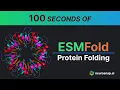 ESMFold Full Tutorial How to use ESM-Fold for your research
