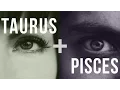 Taurus Pisces Love Compatibility