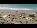 CLIP0029