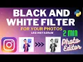 Create an Instagram-Like Black White Filter in 2 Minutes Quick Tutorial Pillow PIL Python