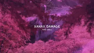 future xanax damage slowed reverb best version