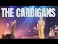 Lagu ［FULL］THE CARDIGANS  LIVE IN TOKYO Oct13. 2025