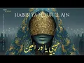 Download Lagu Habibi Ya Nour El Ain | حبيبي يا نور العين – Arabic Techno House Mix