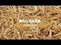 CypressMulch