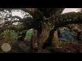 Killer Clue Locations Red Dead Redemption 2