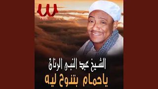 ياحمام بتنوح ليه 